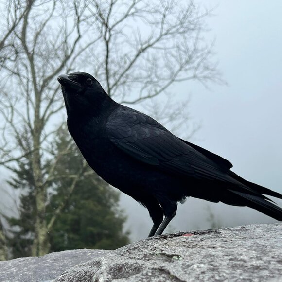 Meet your Posher, Patricia - Picture 4 of 6